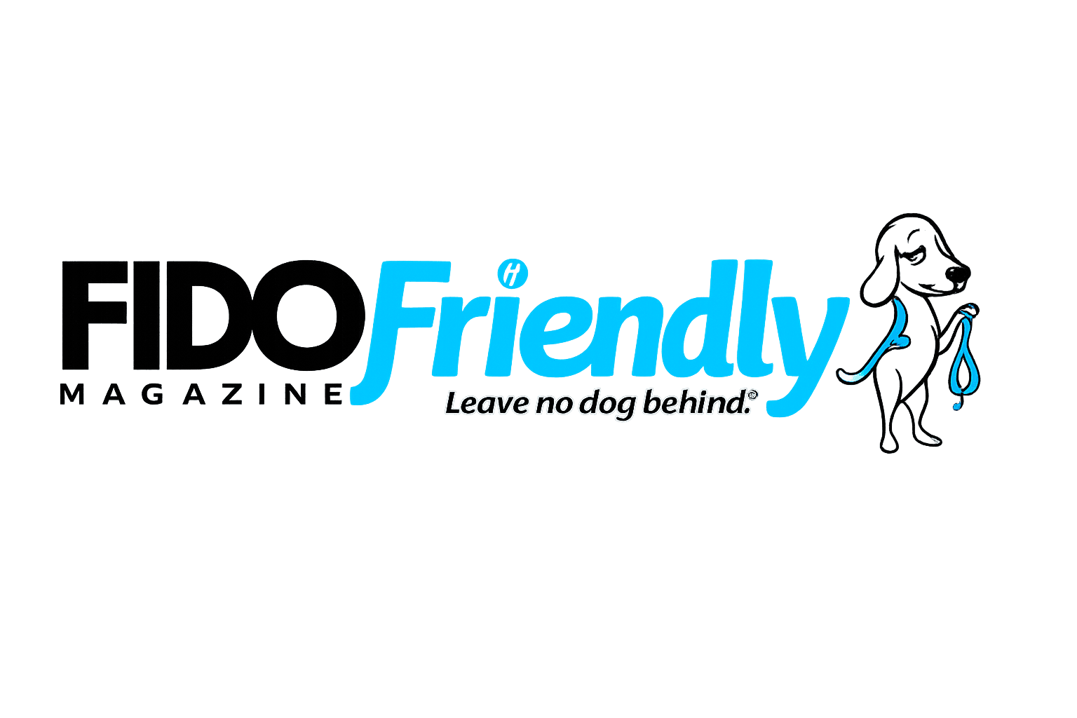 FIDO Friendly Magazine